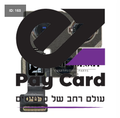 12 פרו אחורי